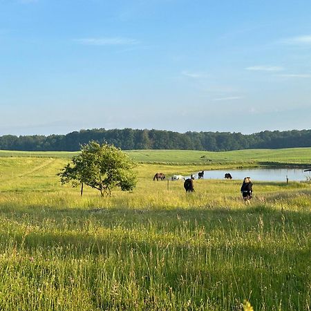 Projekt Stajnia - Nadmorski Osrodek Jazdy Konnej - Noclegi Лазы Экстерьер фото